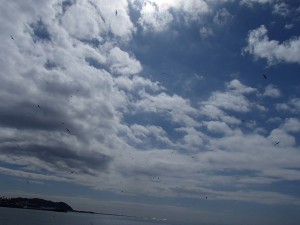 P3150011