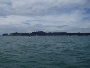 P9050206
