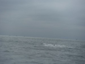 DSCF8080